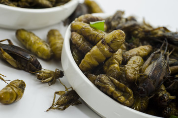 Thai North east food fried warm and grasshopper