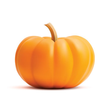 Bright orange vector realistic pumpkin isolated on white background