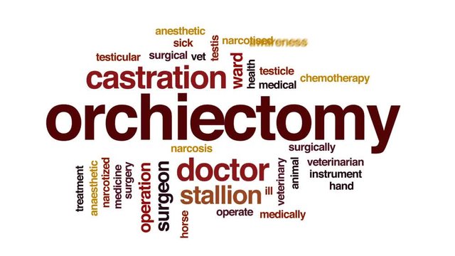 Orchiectomy animated word cloud, text design animation.