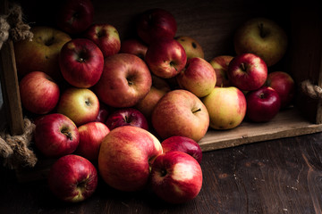 Äpfel in Holz Kiste