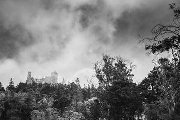 Black and white landscape with Pena Palace