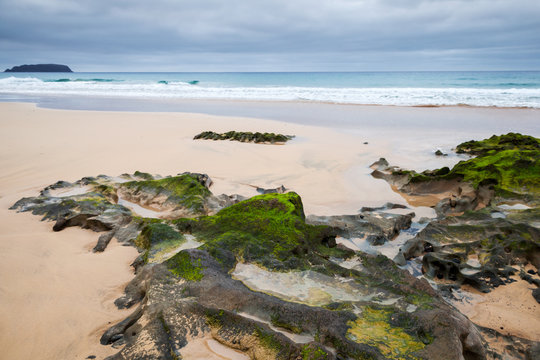 Landscape with wet coastal rocks with seaweed