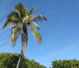 Tropical holiday scenery from Florida Keys, USA.