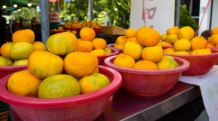 Fresh Jeju Oranges