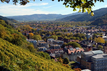 Freiburg und das Dreisamtal im Herbst