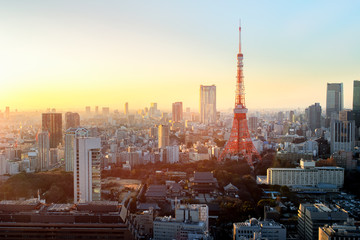 Fototapeta premium Widok miasta Tokio widoczny na horyzoncie