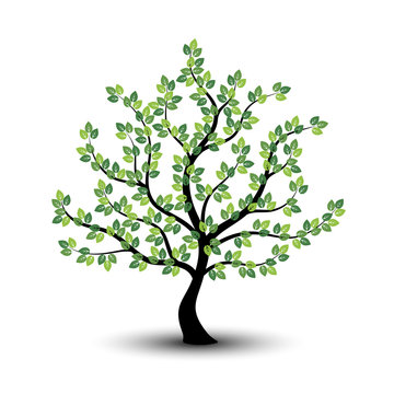 Green tree  icon on a white background.