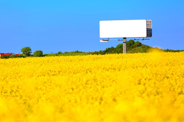 empty bilboard on a field of yellow rape