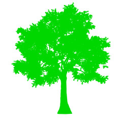 tree side view silhouette isolated - green - vector