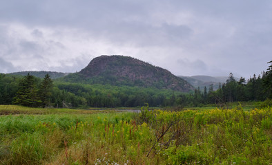Fototapeta na wymiar Acadia Landscape