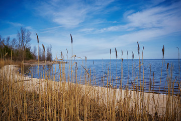 On a lake