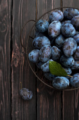 Garden blue plums in a bowl on a dark rustic wooden background with copy space top view.