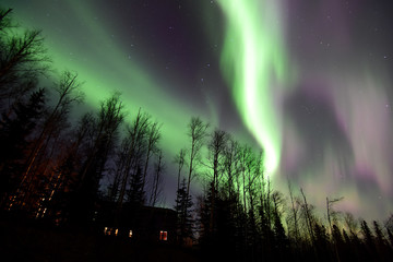 Northern Lights