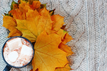 Cup of hot cocoa with marshmallows on the gray knitted background with autumn leaves,top view