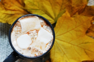 Cup of hot cocoa with marshmallows on the gray knitted background with autumn leaves,top view