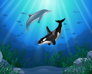 Obraz na płótnie Canvas Killer whales and dolphin cartoon with underwater view and coral background. Vector Illustration.