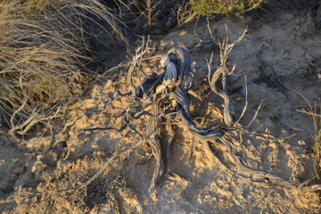 Bardenas Reales de Navarra