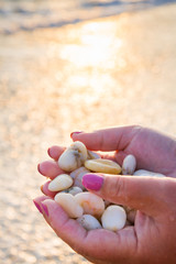 Sea stones in hands on the beach at sunset