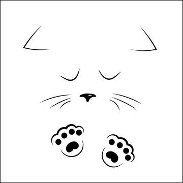 vector black outline drawing sad cat face with paws Stock Vector | Adobe  Stock