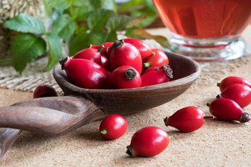 Rose hips on a wooden spoon on a table