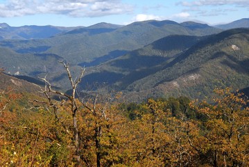 Obraz premium Landscape