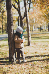 a little boy playing in autumn forest, collecting leaves