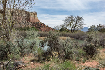 Mesa View