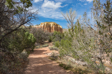 New Mexico Mesas