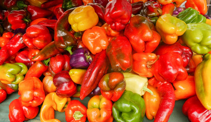 Pile of colorful peppers