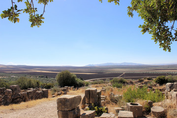 Blick von Volubilis auf die umgebende Landschaft