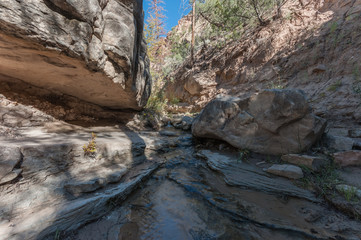 Views along a New Mexico Creek #3