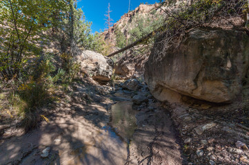 Views along a New Mexico Creek #2