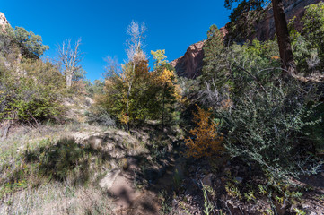 Views along a New Mexico Canyon