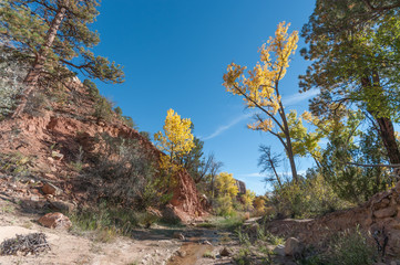Views along a New Mexico Creek in Fall