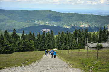 Turyści na górskim szlaku