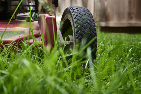 Low Angle Close Up Of Lawnmower Cutting Fresh Green Grass