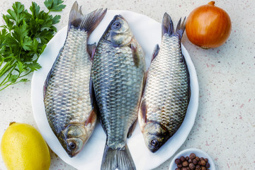 still life from fresh fish