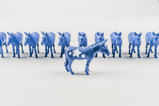 United States Democratic Donkey Standing In Front Of A Row Of Blue Donkeys