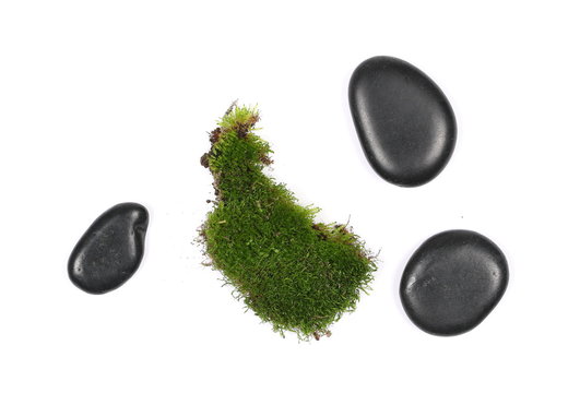 Green moss with black spa rocks isolated on white background, top view