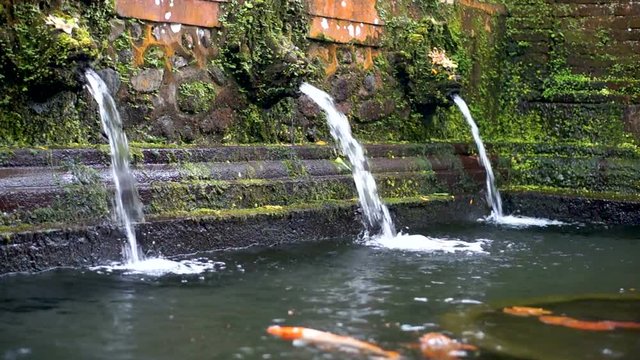 The streams of water are flowing into the pool of Sebatu Gunung Kawi holy springs, Bali, Indonesia