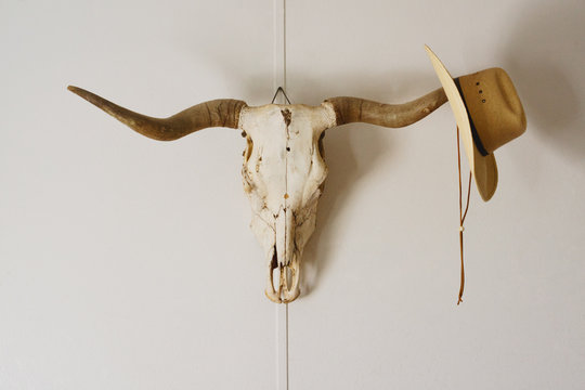 Cowboy hat hangs on tip of skull horn