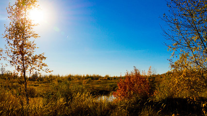 Fototapeta premium Photography of nature and the sun behind the city in autumn.