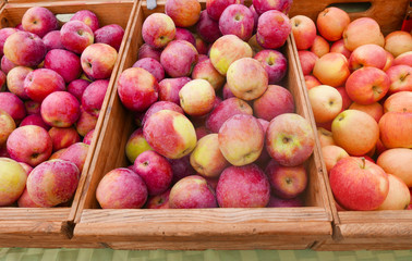 wooden crates with apples