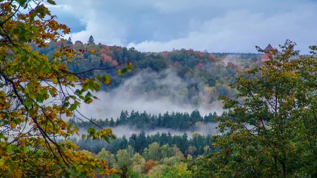 Timelapse movement of fog over forest in the autumn evening in the city of Sigulda.