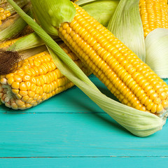 Ripe yellow sweet corn cob on a turquoise wooden table close-up