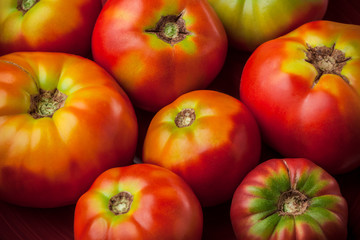 Tomatoes organic natural look closeup colorful group on dark background in studio