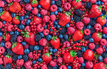 Berries overhead large closeup colorful assorted mix of strawbwerry, blueberry, raspberry,...