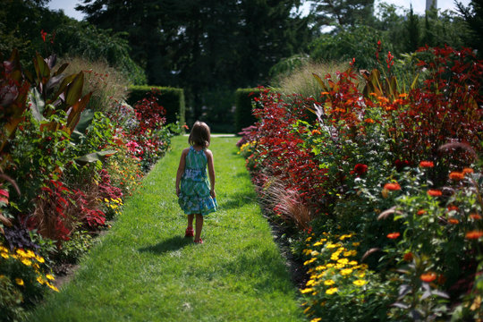 A Small Girl Walking Through A Manicured Garden
