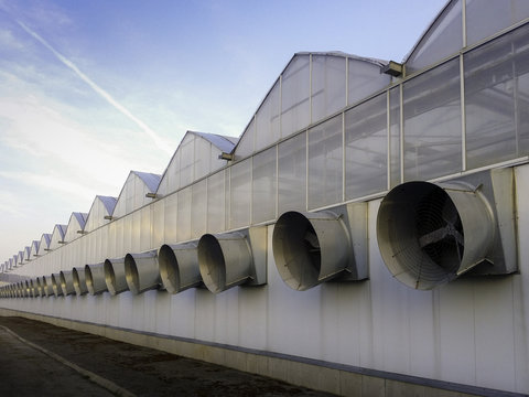 Wall of Large Scale Industrial Greenhouse on Large Agricultural Farm Extending Into the Distance