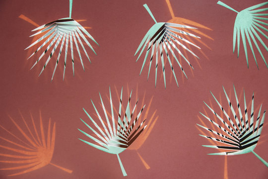 Backlit palm leaf pattern